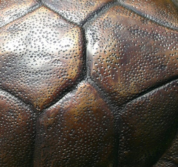 Sea Turtle fountain is a mesmerizing masterpiece close up view of shell